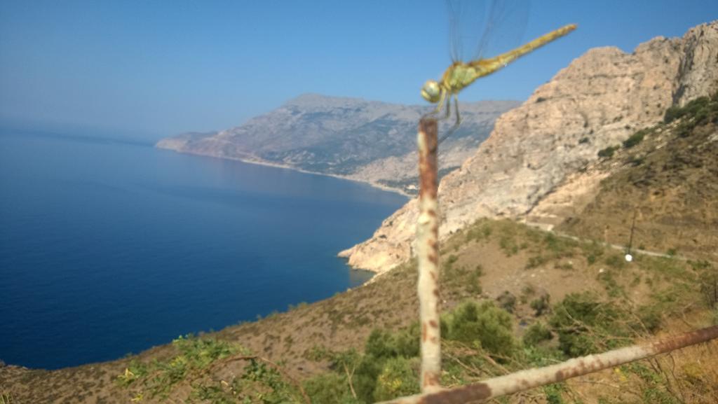 Ikaria Studios Manganítis Zewnętrze zdjęcie